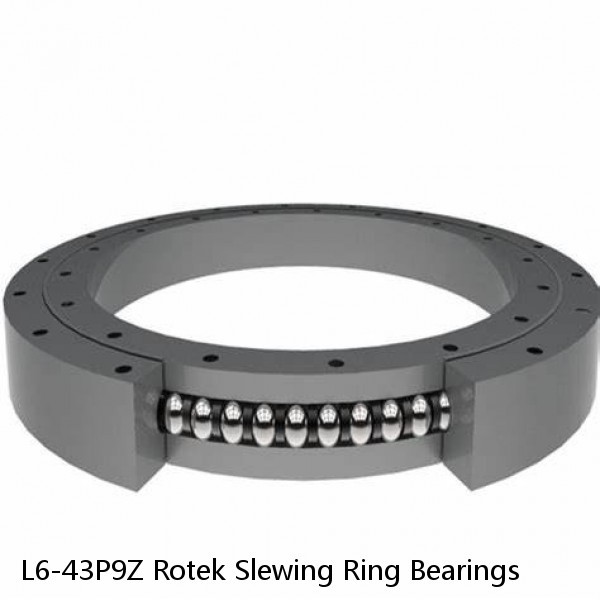 L6-43P9Z Rotek Slewing Ring Bearings