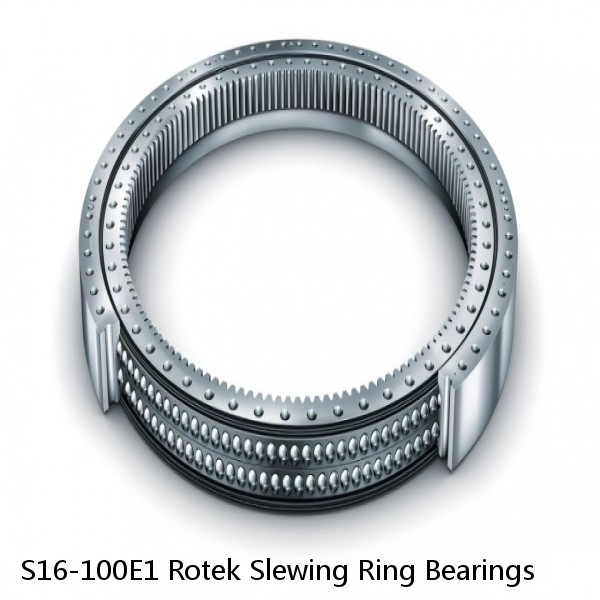 S16-100E1 Rotek Slewing Ring Bearings