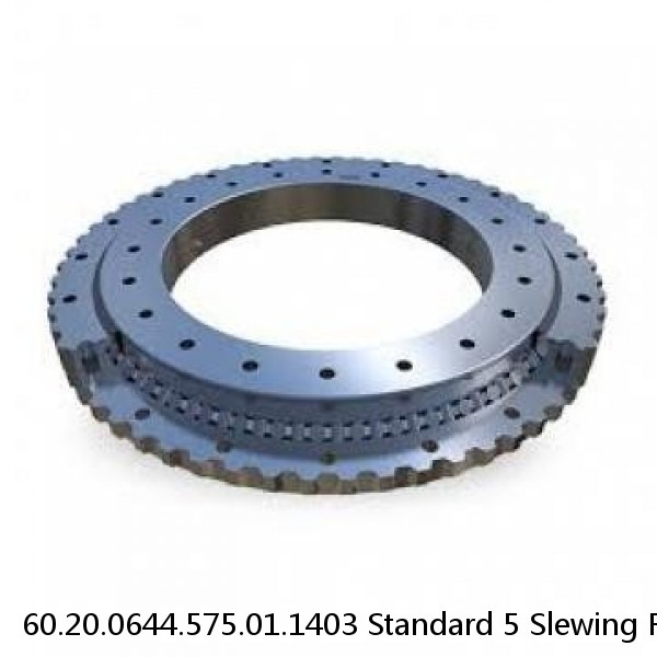 60.20.0644.575.01.1403 Standard 5 Slewing Ring Bearings