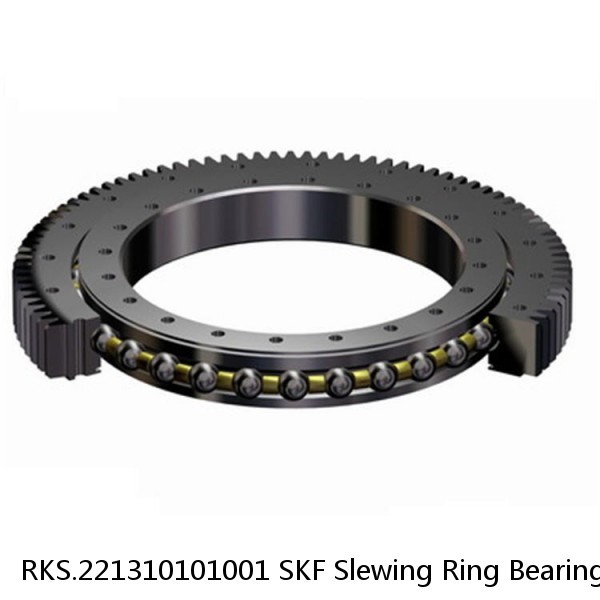 RKS.221310101001 SKF Slewing Ring Bearings