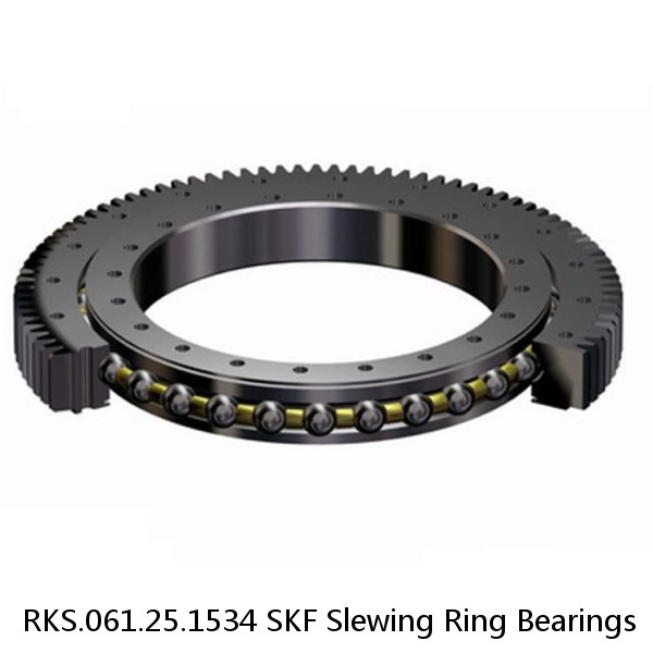 RKS.061.25.1534 SKF Slewing Ring Bearings