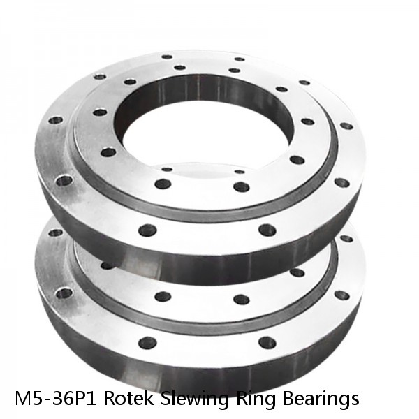 M5-36P1 Rotek Slewing Ring Bearings