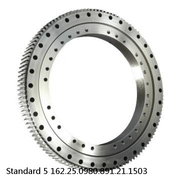 162.25.0980.891.21.1503 Standard 5 Slewing Ring Bearings