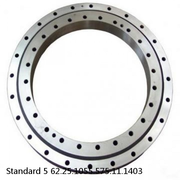 62.25.1055.575.11.1403 Standard 5 Slewing Ring Bearings