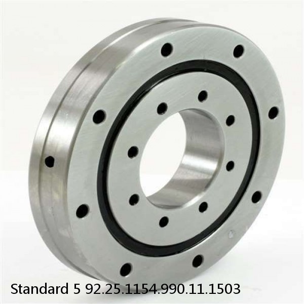 92.25.1154.990.11.1503 Standard 5 Slewing Ring Bearings