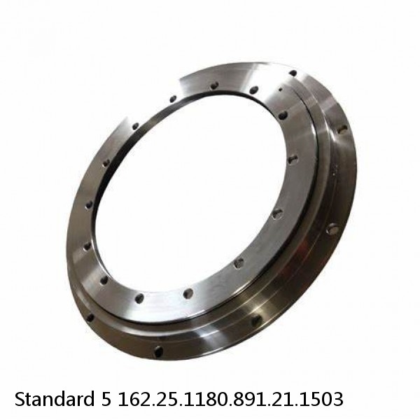 162.25.1180.891.21.1503 Standard 5 Slewing Ring Bearings