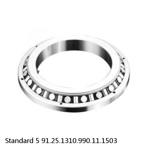 91.25.1310.990.11.1503 Standard 5 Slewing Ring Bearings