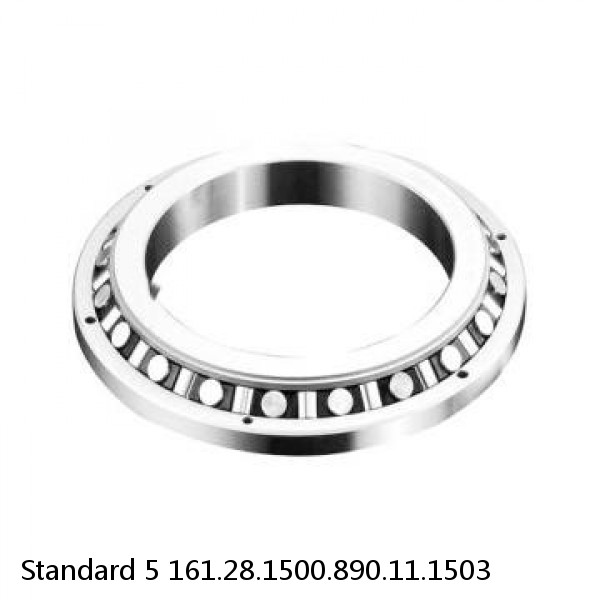 161.28.1500.890.11.1503 Standard 5 Slewing Ring Bearings