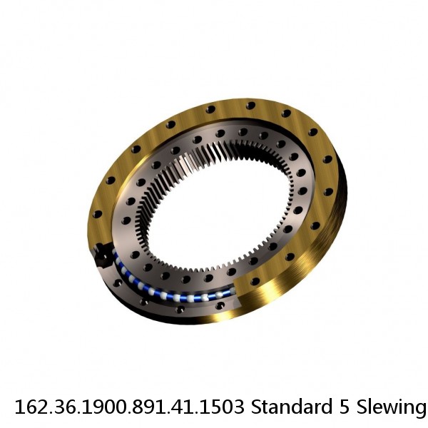 162.36.1900.891.41.1503 Standard 5 Slewing Ring Bearings