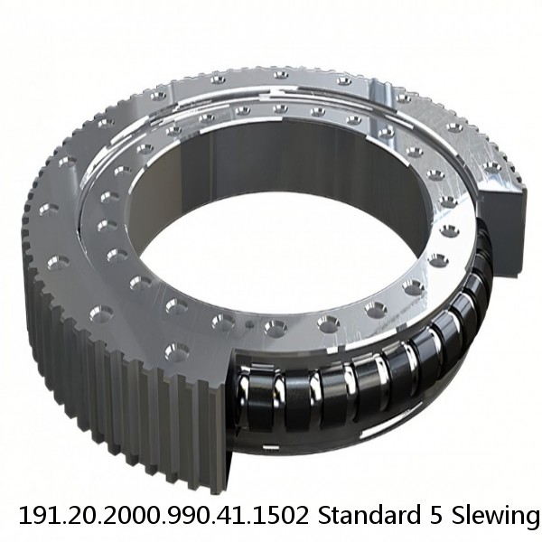 191.20.2000.990.41.1502 Standard 5 Slewing Ring Bearings