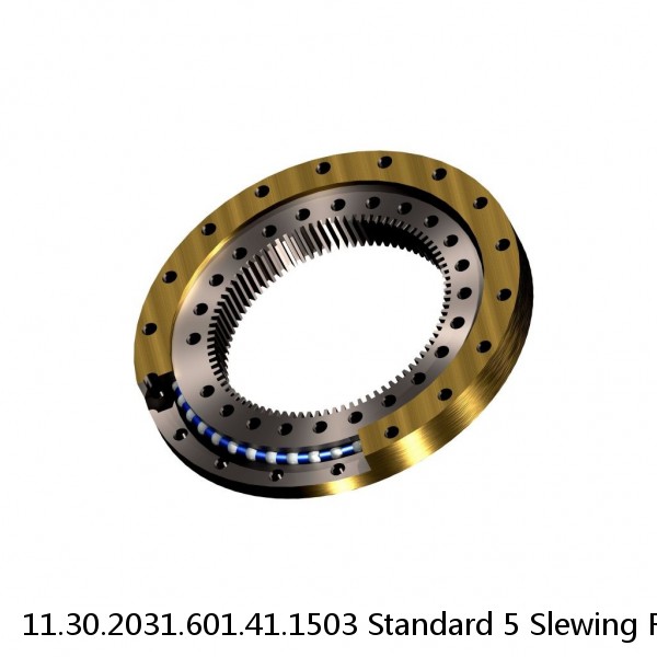 11.30.2031.601.41.1503 Standard 5 Slewing Ring Bearings