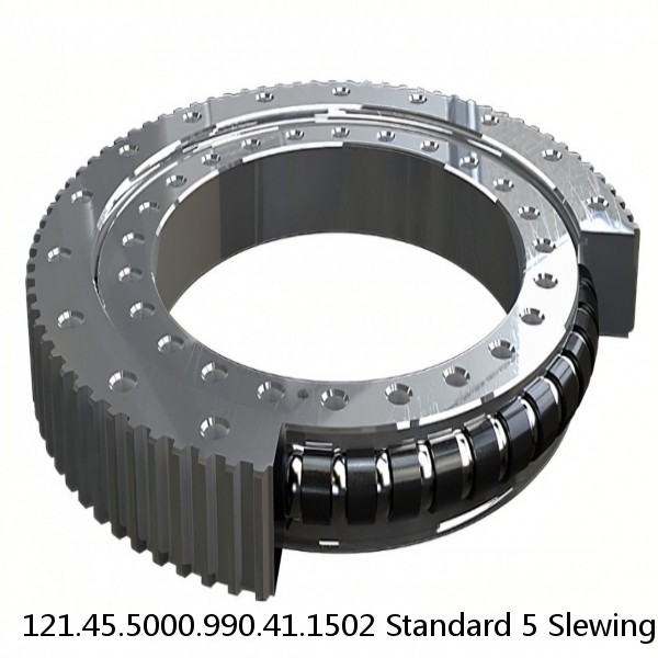 121.45.5000.990.41.1502 Standard 5 Slewing Ring Bearings