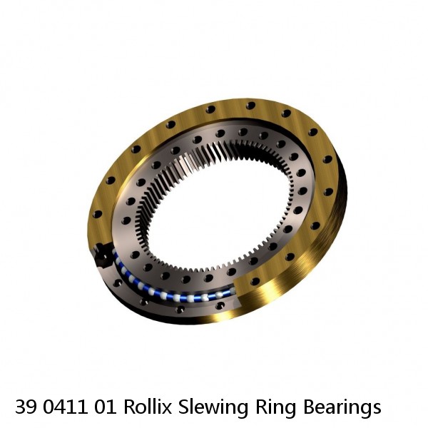 39 0411 01 Rollix Slewing Ring Bearings