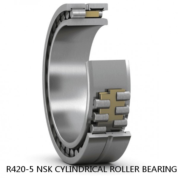 R420-5 NSK CYLINDRICAL ROLLER BEARING