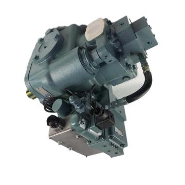 Daikin VZ100C34RJPX-10 Piston Pump