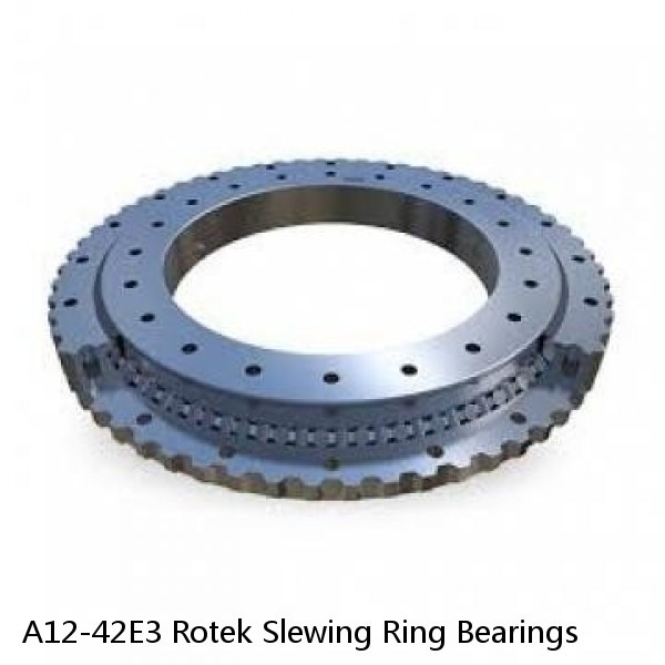 A12-42E3 Rotek Slewing Ring Bearings