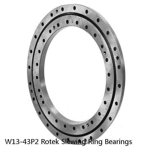 W13-43P2 Rotek Slewing Ring Bearings