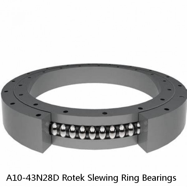 A10-43N28D Rotek Slewing Ring Bearings