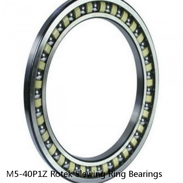 M5-40P1Z Rotek Slewing Ring Bearings