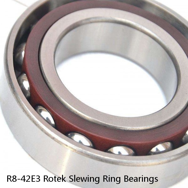 R8-42E3 Rotek Slewing Ring Bearings