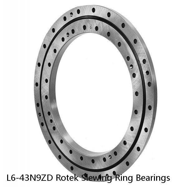 L6-43N9ZD Rotek Slewing Ring Bearings