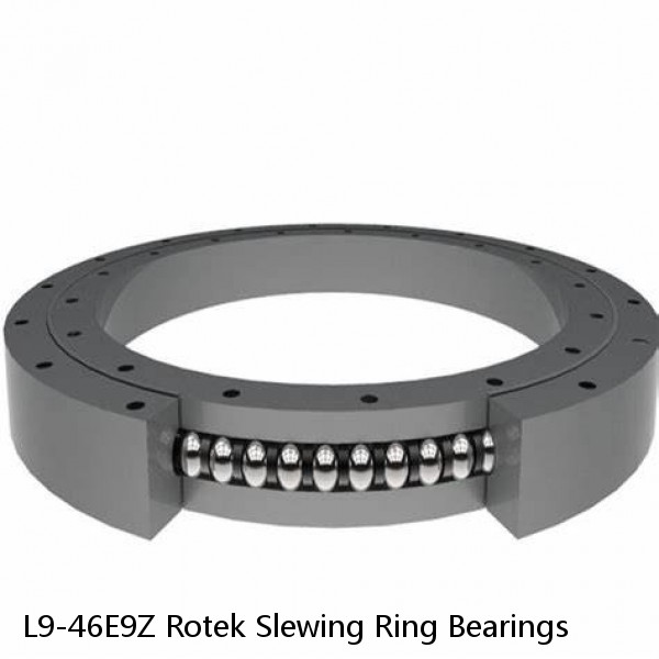 L9-46E9Z Rotek Slewing Ring Bearings