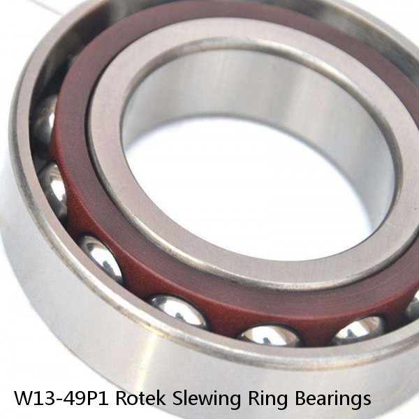 W13-49P1 Rotek Slewing Ring Bearings