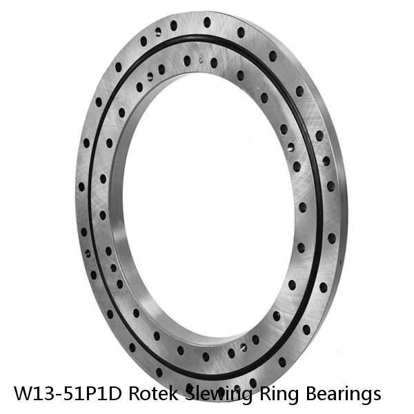 W13-51P1D Rotek Slewing Ring Bearings