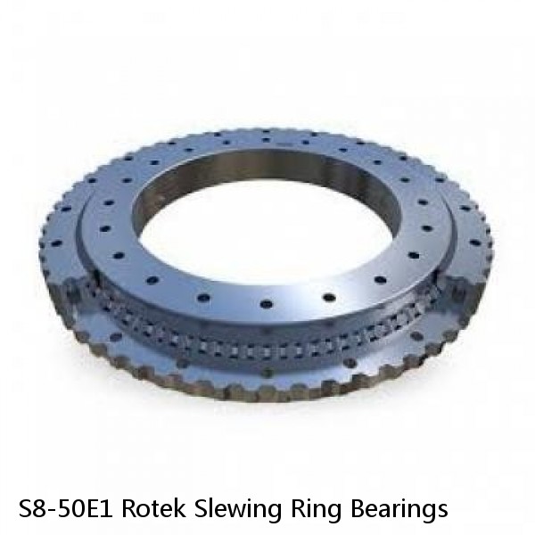 S8-50E1 Rotek Slewing Ring Bearings