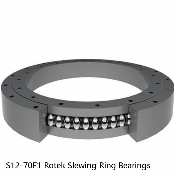 S12-70E1 Rotek Slewing Ring Bearings