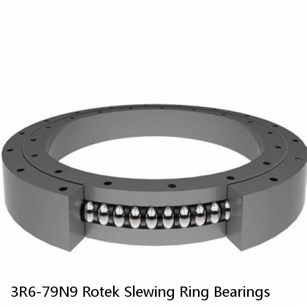 3R6-79N9 Rotek Slewing Ring Bearings