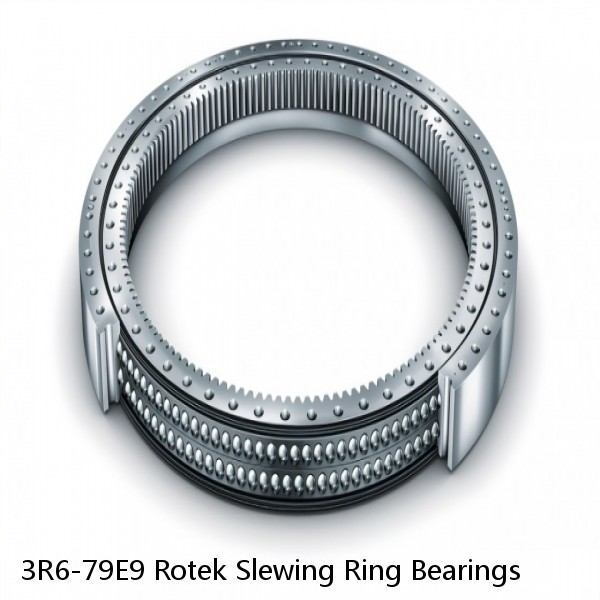 3R6-79E9 Rotek Slewing Ring Bearings