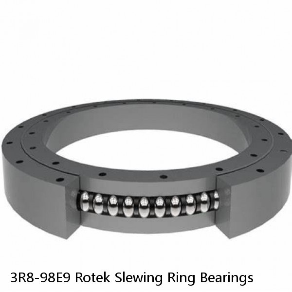 3R8-98E9 Rotek Slewing Ring Bearings