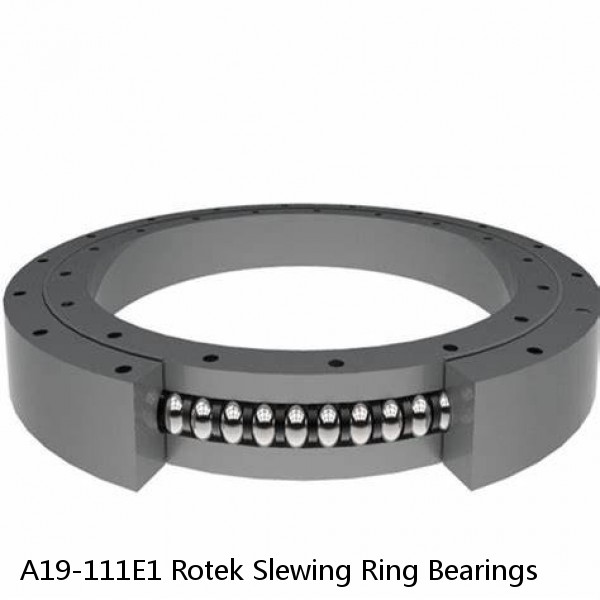 A19-111E1 Rotek Slewing Ring Bearings