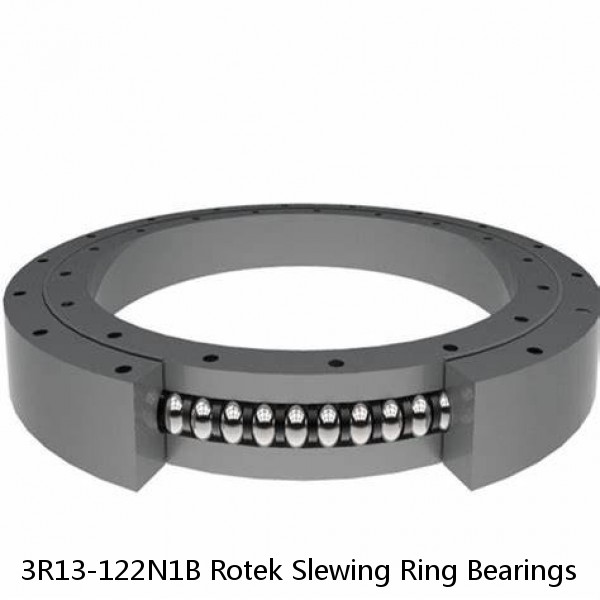 3R13-122N1B Rotek Slewing Ring Bearings