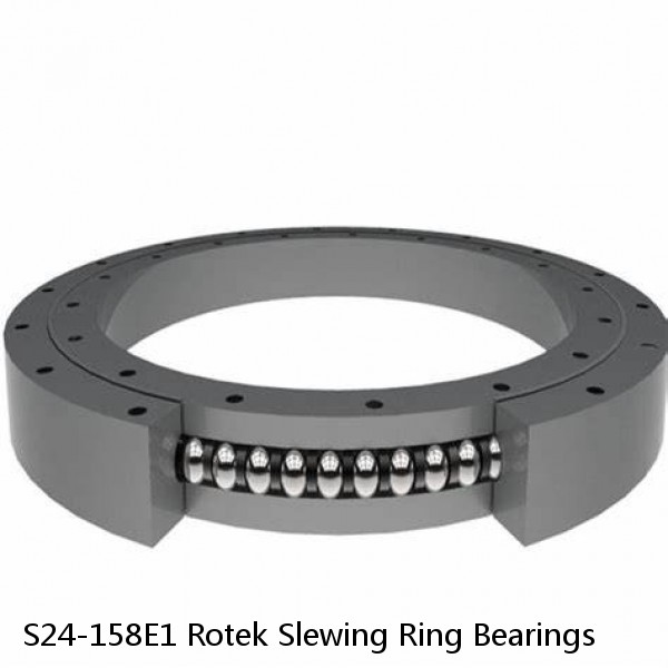 S24-158E1 Rotek Slewing Ring Bearings