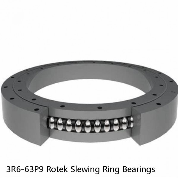 3R6-63P9 Rotek Slewing Ring Bearings