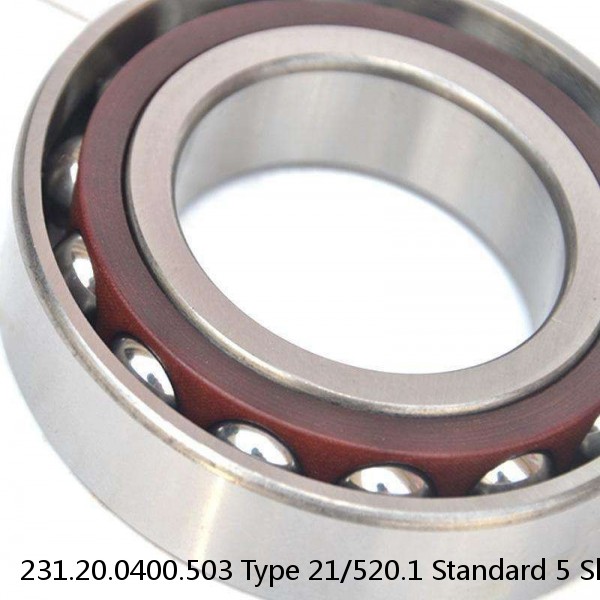 231.20.0400.503 Type 21/520.1 Standard 5 Slewing Ring Bearings