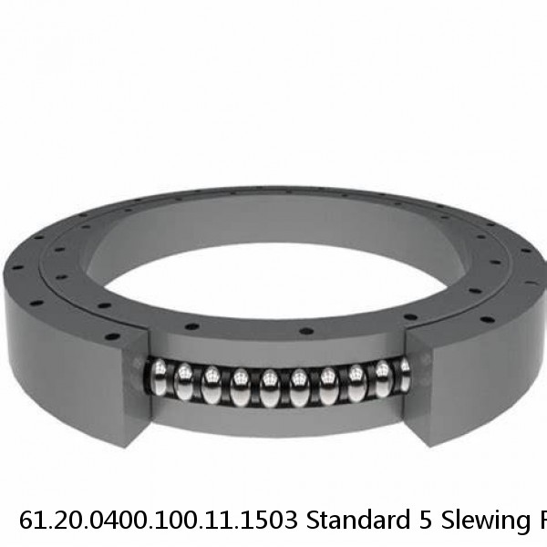 61.20.0400.100.11.1503 Standard 5 Slewing Ring Bearings