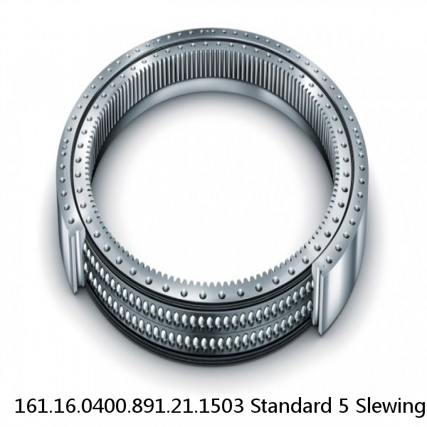 161.16.0400.891.21.1503 Standard 5 Slewing Ring Bearings