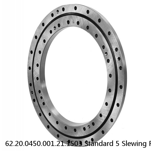 62.20.0450.001.21.1503 Standard 5 Slewing Ring Bearings