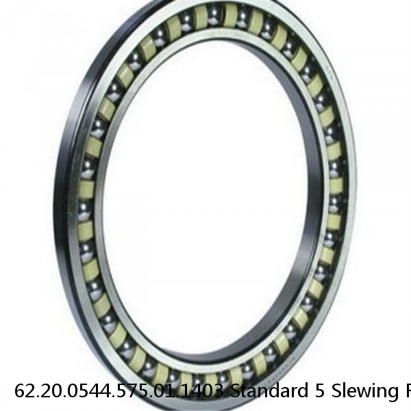 62.20.0544.575.01.1403 Standard 5 Slewing Ring Bearings