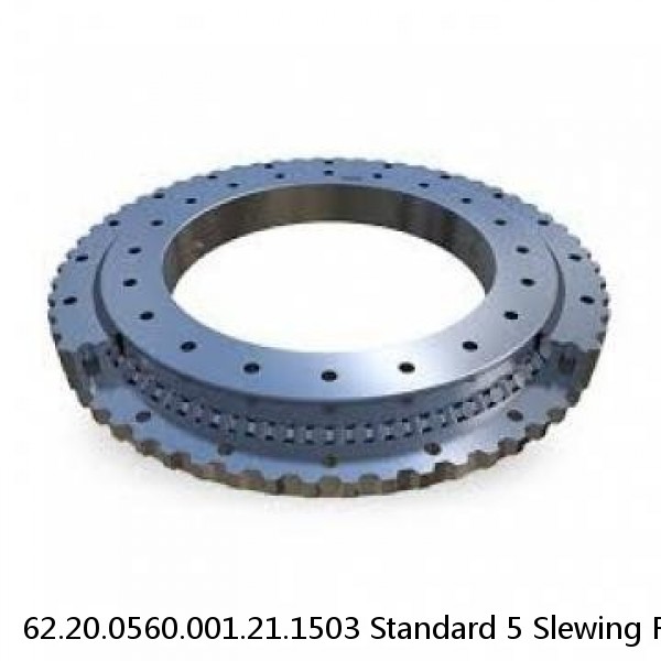 62.20.0560.001.21.1503 Standard 5 Slewing Ring Bearings