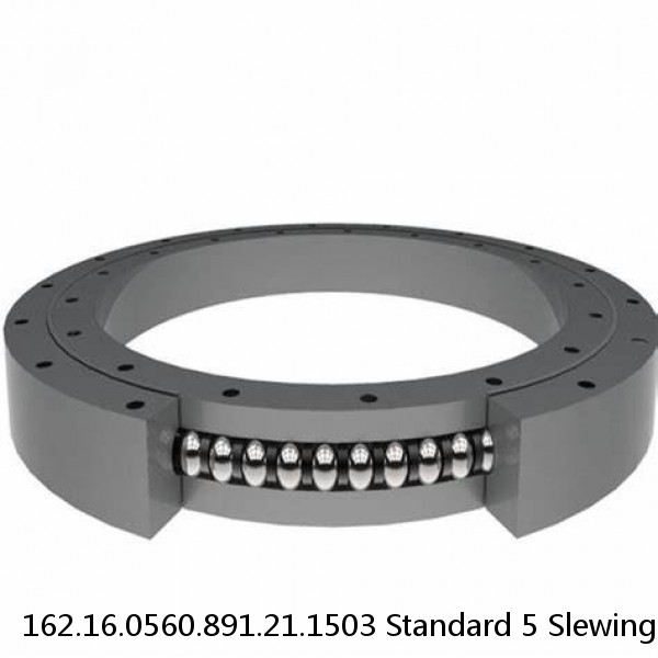 162.16.0560.891.21.1503 Standard 5 Slewing Ring Bearings