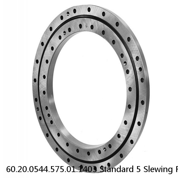 60.20.0544.575.01.1403 Standard 5 Slewing Ring Bearings