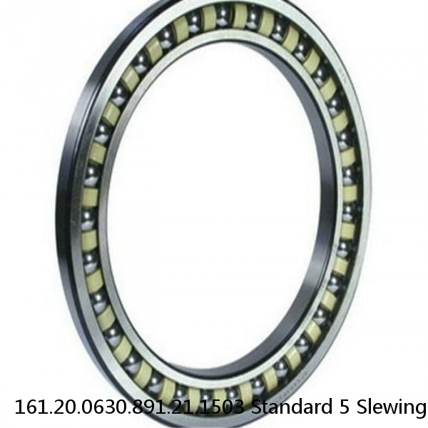 161.20.0630.891.21.1503 Standard 5 Slewing Ring Bearings