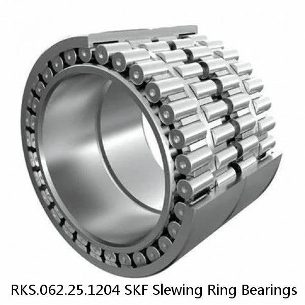 RKS.062.25.1204 SKF Slewing Ring Bearings