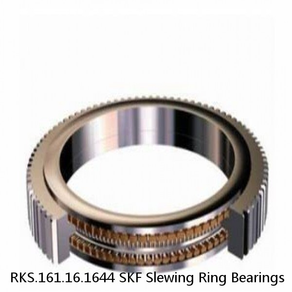 RKS.161.16.1644 SKF Slewing Ring Bearings