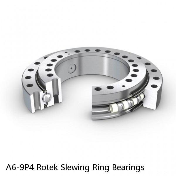 A6-9P4 Rotek Slewing Ring Bearings