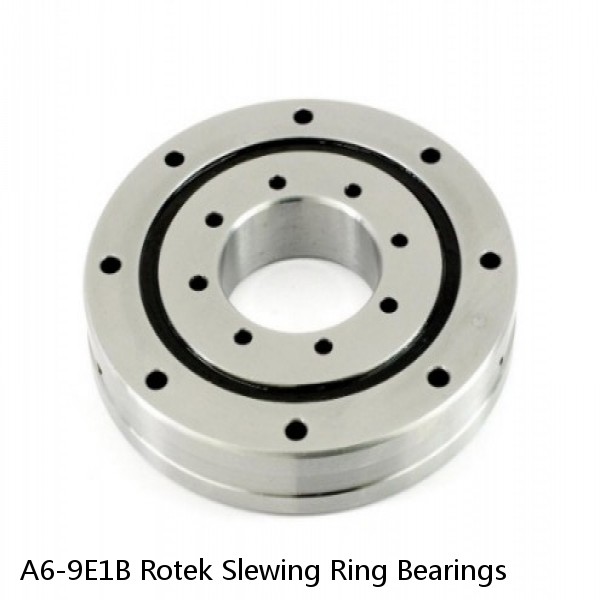 A6-9E1B Rotek Slewing Ring Bearings